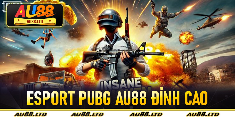 esport PUBG Au88 đỉnh cao